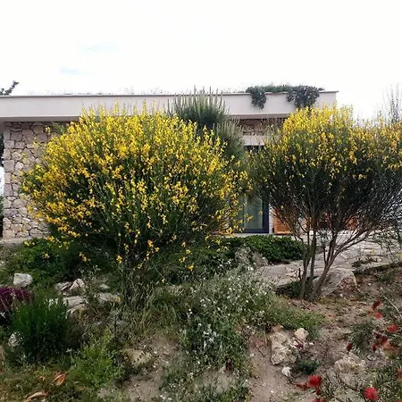 Villa Infinity Alinca *